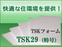 TSKフォーム　TSK29（特号）